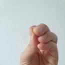 정정에이스푸드