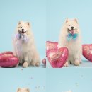 베네핏스튜디오 이미지