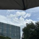 궁동2길 | [일기] 난 잘 모르겠지만 우린 참 닮아있는 걸 (8~9월)