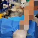 태백동물병원 이미지