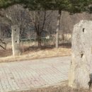 (유)하마 이미지