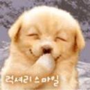 럭셔리 이미지