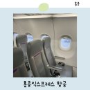 백곰사 | 홍콩익스프레스 항공 좌석 기내수하물 추가 온라인체크인 후기