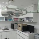 석동물병원 네이버블로그