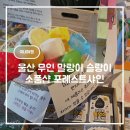 샤인샵헤어 (샤인#헤어) | 울산 무인 말랑이 슬랑이 소품샵 포레스트샤인