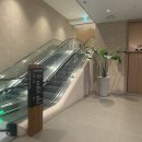 아쿠아필드 | [내돈내산] 안성 스타필드 아쿠아필드 방문 후기