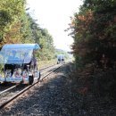 옥마벚길 이미지