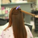마샬헤어라인 이미지
