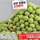 왔다슈퍼 이미지