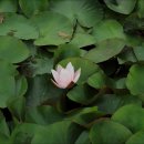 의왕초등학교 이미지