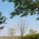 화랑유원지 옆 이미지