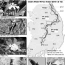 백두환경 이미지