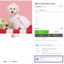 다정하개 | [마감][펫윈도] 4월 22일주차 월별프로모션 제안 안내드립니다~! (~ 4/8 월 오전 11시까지)