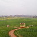 김용권농장 이미지