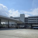 막내카써비스 | [후쿠오카/히타] 막내랑 벚꽃여행(1)