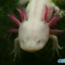 즐거운유치원 이미지