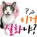 라온핸드미