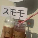 반하나 푸딩 | 광주 벚꽃 명소 홍림교 4월 4일 실시간 개화 상황 (+스모모 카페)