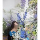 [부산 보메가든 스튜디오] 웨딩촬영 후기- 1