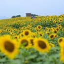 미산제 | 한국 판소리 동편제