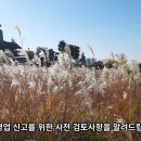 햇빛행정사 이미지