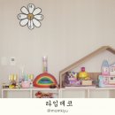 데코;데이지 이미지