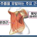 엔투슬림앤뷰티 네이버블로그