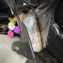 보궁요양병원(회장) | 안녕하세요 여러분. 2026년 3월 보고 드립니다.