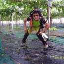 직지초등학교 이미지