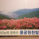 용궁목욕탕 이미지