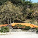 정든민박 이미지