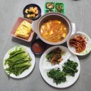 두릅 채취 후기｜가시보다 무서운 건 남편의 비명이었다(두릅 데치는 시간)
