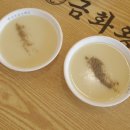 금화왕돈까스 경주용황점