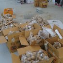 자연과사람들 이미지