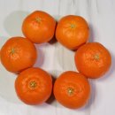 한길3농장 이미지