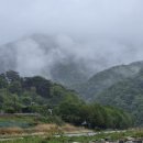 수산1리 이미지