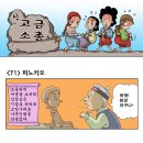 신고금 Daum카페