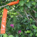 대부도고랫부리섬생태관광마을 이미지