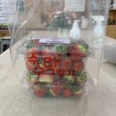 혜일농장 이미지