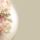 홍운농장 이미지