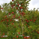 거창청과 이미지