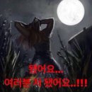 예원샵 이미지