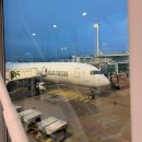 122 | ️아시아나항공 OZ122 나고야 후기｜기내식·OZ Wi-Fi·좌석·USB 충전 총정리