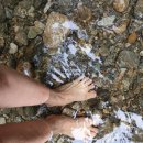 별님달님 이미지