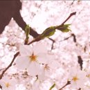 가온카라반 이미지