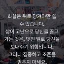 택이네조개전골영종 이미지