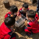 본아미어린이집 이미지