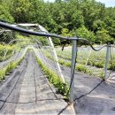 농업기술센터 화북상담소 이미지