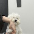 찰스앤에디 네이버블로그