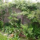 까페오월 이미지